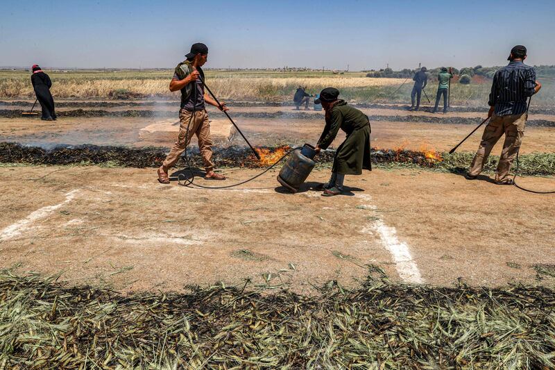 Labourers roast durum wheat to produce freekeh after harvesting a field, in the Syrian town of Binnish in the rebel-held province of Idlib in northwestern Syria.