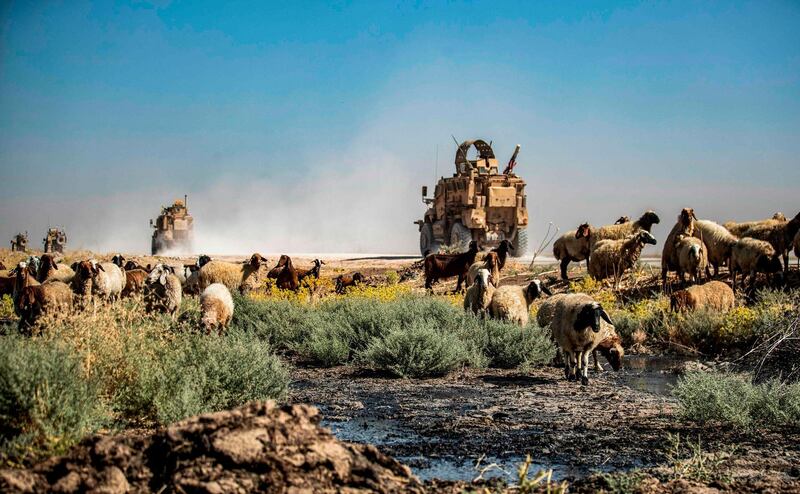 US military vehicle pass by sheep grazing and drinking from a stream polluted by an oil spill near the village of Sukayriyah, in the countryside south of Rumaylan ( in Syria's Kurdish-controlled northeastern Hasakeh province.  AFP