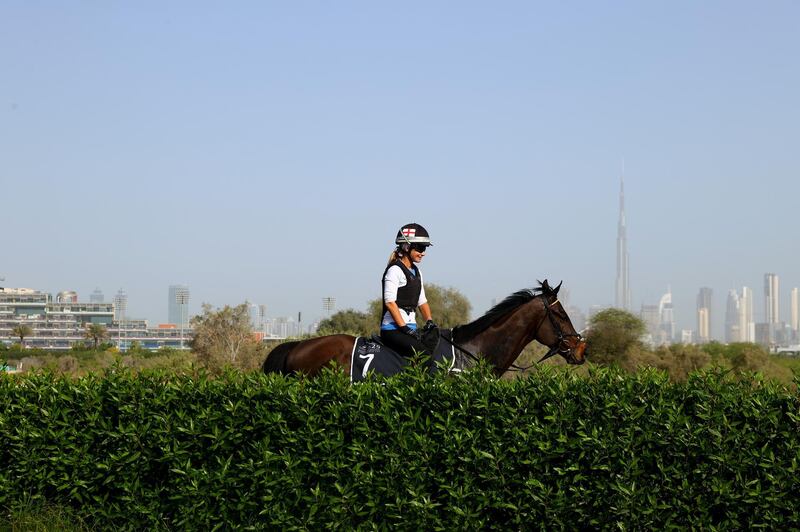 Morning track work ahead of the Dubai World Cup, with downtown Dubai's high-rises in the background. Getty Images