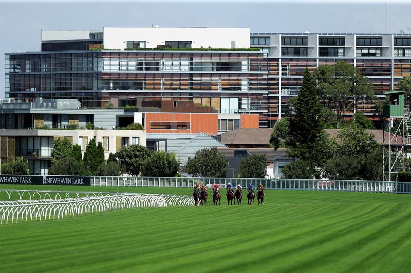 The field rounds the final turn during the Widden Kindergarten Stakes. Getty