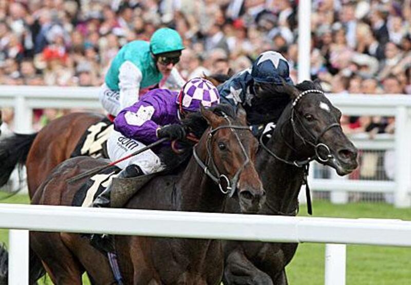 Alkimos (star on forehead) ran second to Pisco Sour in the Tercentenary Stakes at Royal Ascot.