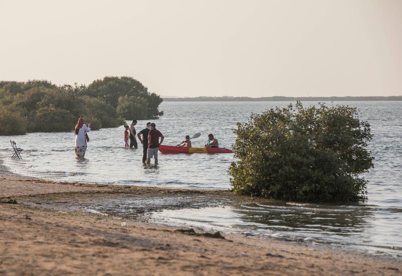 A dip in the mangroves at Not A Space In The Wild is one way to cool off this summer in Umm Al Quwain