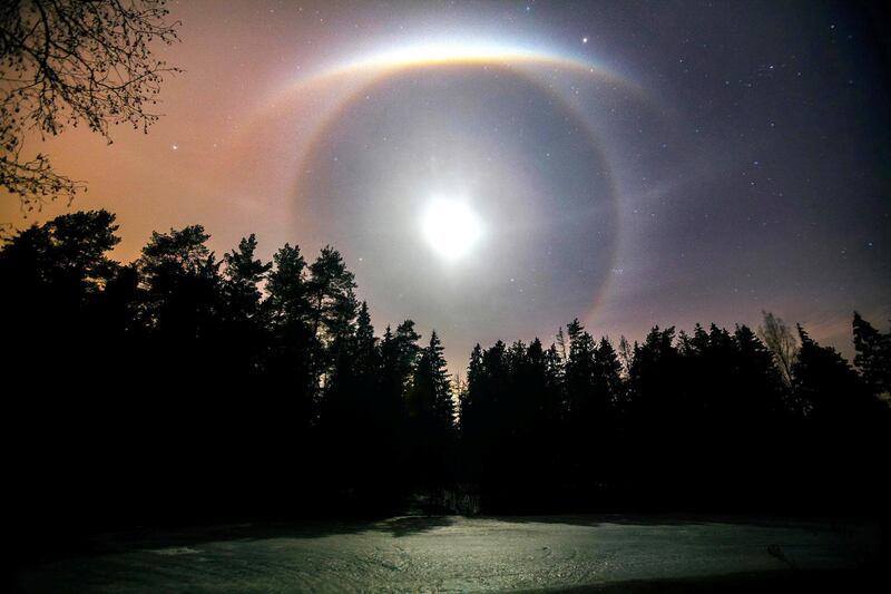 'Halo', Mikhail Kapychka: 'Lunar halo over the night forest lake, Mogilev, Belarus. I suddenly saw an unusual lunar halo in the night sky and hurried into the forest to take a picture of it. It was an amazing sight when in the night sky, the halo was like the eye of God. I've never seen this form of halo before. It was freezing weather and I couldn't stay in the forest for a long time, but I really wanted to take a picture of this image.'