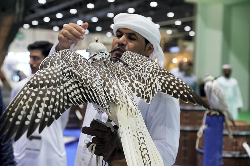 ABU DHABI , UNITED ARAB EMIRATES , SEP 12  ��� 2017 : - Naser Mohammad trying to open the falcon cap at the Falcon Center stand at the ADIHEX 2017 held at  Abu Dhabi National Exhibition Centre in Abu Dhabi. ( Pawan Singh / The National ) Story by Anna