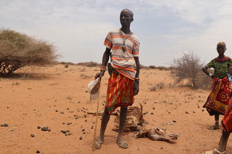 Bargeri, a herdsman from the Rendille ethnic group, surveys the carcass of his donkey. Some desperate people have resorted to slaughtering and drying the meat from their animals that die from hunger as a way of preserving some food for later use. Reuters