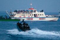 Turkey to the rescue, or is the new Gaza flotilla a provocation?