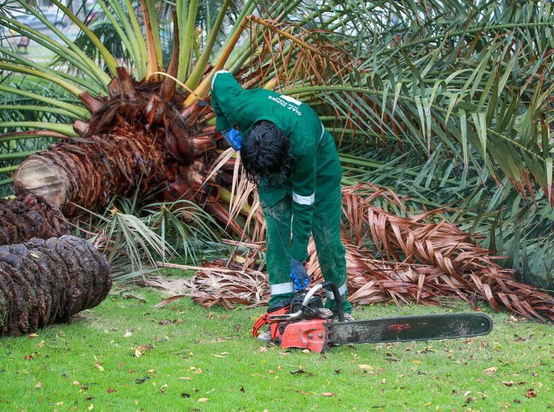 Workers clear fallen trees along the Corniche. Victor Besa / The National