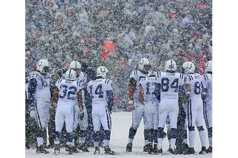Indianapolis Colts players at Buffalo's Ralph Wilson Stadium during a game in January.