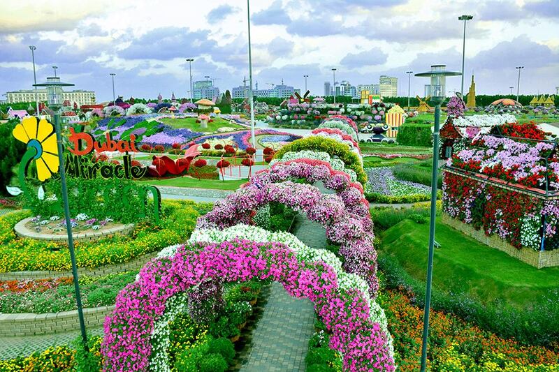 This year, the attraction will feature more than 150 million flowers, including some that were locally grown for the first time.