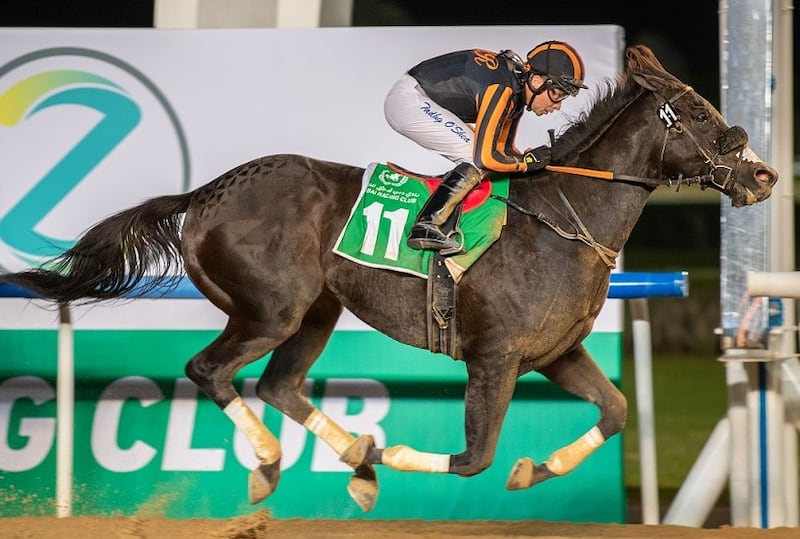 Tadhg O’Shea rides his 700th winner in the UAE on Switzerland in the Dubai World Cup Carnival at Meydan on Friday, January 6, 2023. Photo: Adiyat Racing Plus