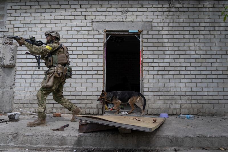 A Ukrainian soldier on reconnaissance in a recently retaken village on the outskirts of Kharkiv, east Ukraine. AP Photo