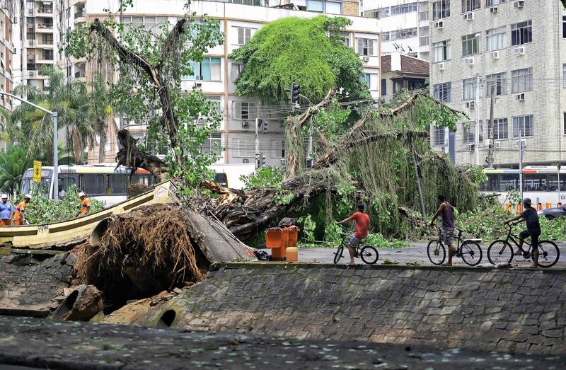 Cyclists look at a fallen tree which ripped up part of a canal after a storm in Gavea, Rio de Janeiro, Brazil. AFP