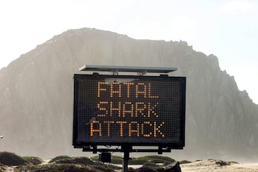 FILE - A sign advises about a shark attack, Friday, Dec.  24, 2021, in Morro Bay, Calif.  In reports cited Tuesday, March 29, 2022, authorities have concluded that a great white shark killed a bodyboarder last Christmas Eve in Morro Bay, Calif.  (David Middlecamp / The Tribune of San Luis Obispo via AP, File)