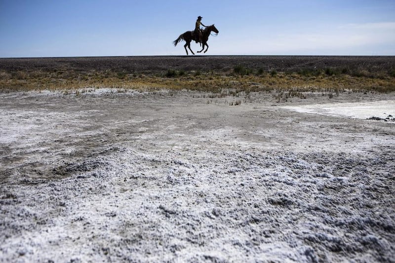 Barbara Berg rides along Highway 95 near Fallon, Nevada during a 320-mile (515-km) relay horseback ride from Elko, Nevada to the State Capitol in Carson City to deliver a petition to Governor Brian Sandoval. Max Whittaker / Reuters