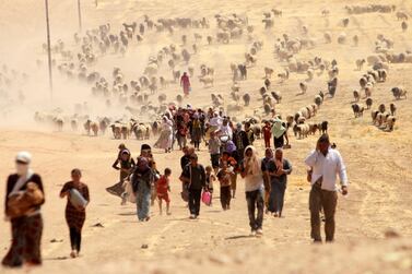 Displaced Yazidis flee ISIS by walking towards the Syrian border, near Sinjar mountain, Iraq, August 10, 2014. Reuters