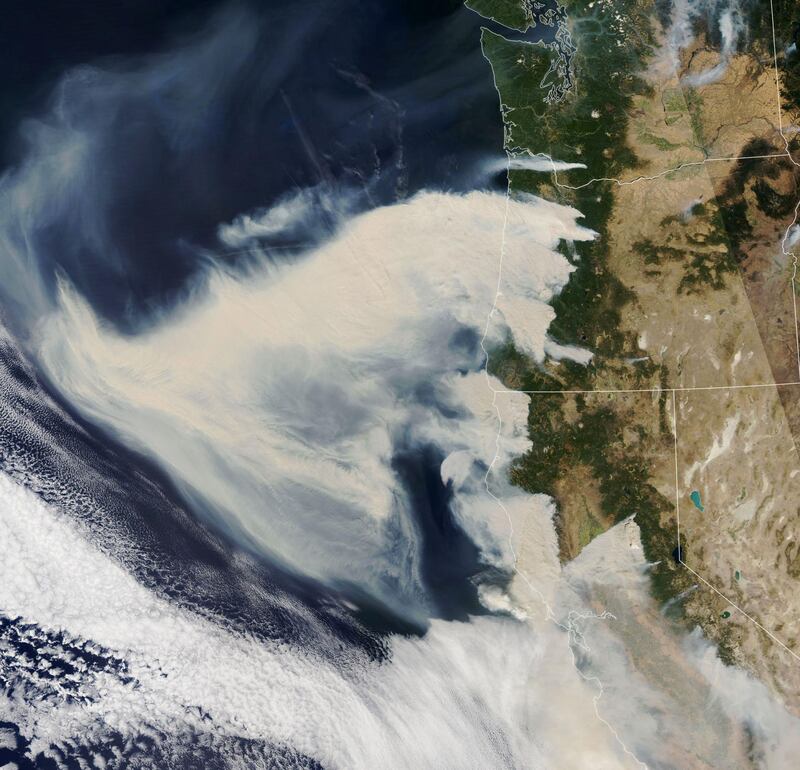 The Moderate Resolution Imaging Spectroradiometer (MODIS) on NASA's Aqua satellite captured this natural color image of thick smoke plumes streaming west from a long line of intense fires in Washington state, Oregon and California. AFP