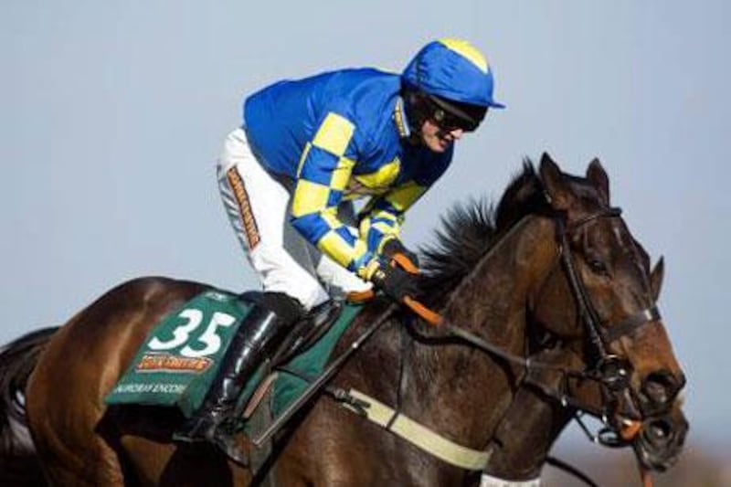 A day after winning the Grand National at Aintree Racecourse in Liverpool aboard Auroras Encore, jockey Ryan Mania, above, was seriously injured in a fall at a race in Hexham in northern England, suffering neck and back injuries.