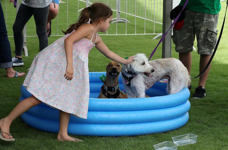 ABU DHABI , UNITED ARAB EMIRATES , APRIL 13   – 2018 :- People cooling their pets at the pet water station during the pet festival held at DU arena on Yas Island in Abu Dhabi. ( Pawan Singh / The National ) For News