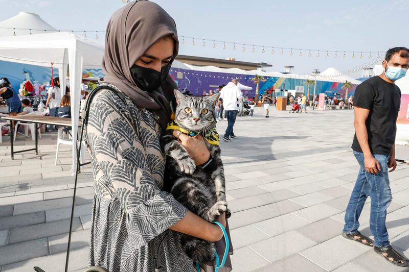 A cat also got to enjoy the day's fun at Souk Al Marfa.