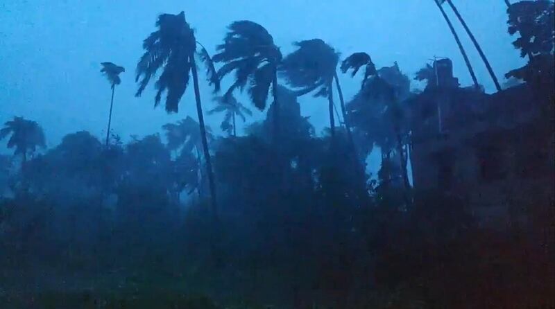 Trees are battered by severe winds from cyclone Amphan in Kolkata, West Bengal, India. Reuters