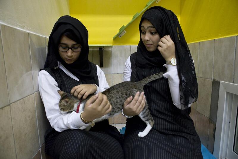 Fatima Mohammad and Amna Hassan hold a cat at the RAK Animal Welfare Center. It was Fatima’s first time stroking a cat. Razan Alzayani / The National


