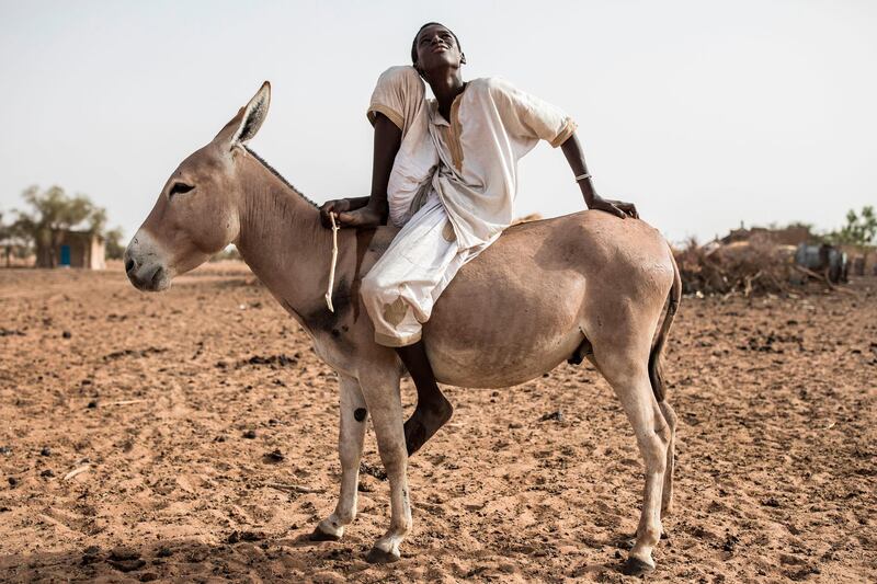 A young Fulani herder sits on his donkey in the village of Mbetiou Peulh.  Pastoral families have been stuck around this village since the Covid-19 restrictions were put in place in March 2020.  AFP