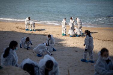 FILE - In this Monday, Feb. 22, 2021 file photo, Israeli soldiers wearing protective suits clean tar from a beach after an oil spill in the Mediterranean Sea in Sharon Beach Nature Reserve, near Gaash, Israel. Israeli authorities said they believed a tanker suspected of smuggling oil from Iran to Syria was responsible for spilling tons of crude into the Mediterranean last month, causing one of Israel's worst environmental disasters. (AP Photo/Ariel Schalit, File)