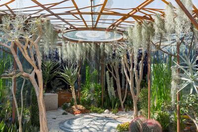 The Pearlfisher Garden. Designed by: John Warland and Pearlfisher team. Sponsored by: Pearfisher, Nigel Colclough and Jason deCaires Taylor. Space to Grow Garden. RHS Chelsea Flower Show 2018.