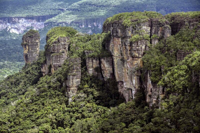 The Serrania de Chiribiquete at Chiribiquete National Park, Colombia. Guillermo Legaria / AFP