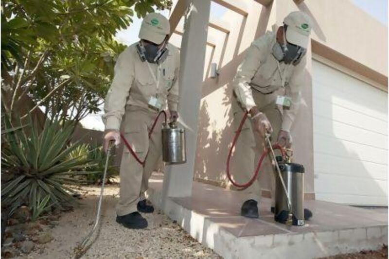 National Pest Control personnel spray a home in Dubai. Dinesh Ramachandran, the technical director of the company, says it is crucial to clamp down on illegal operators because complaints against mismanagement of pesticides were on the increase.