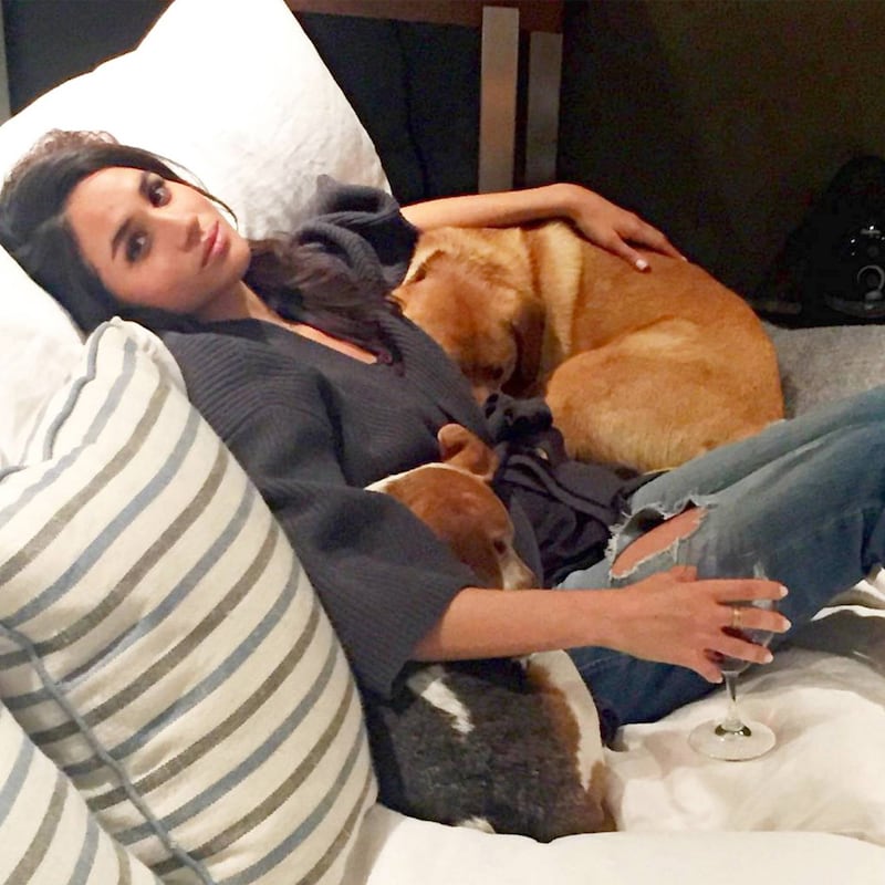 Meghan Markle with her rescue dogs. Meghan Markle / Instagram