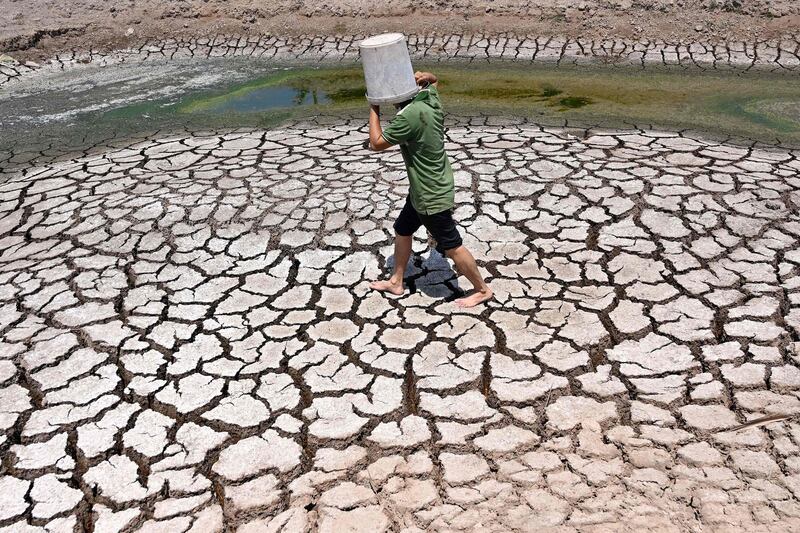 A dried-up pond in Vietnam's southern Ben Tre province.  A blazing month-long heatwave has brought drought, parching the land in the region. AFP 