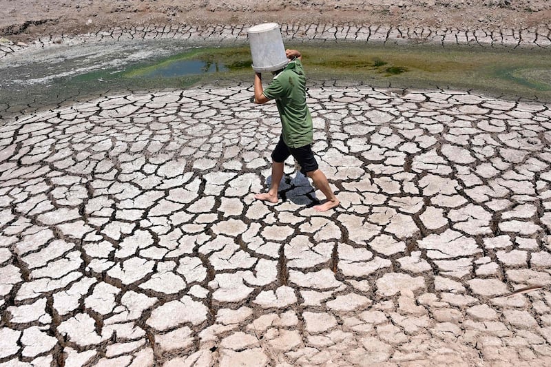 A dried-up pond in Vietnam's southern Ben Tre province.  A blazing month-long heatwave has brought drought, parching the land in the region. AFP 