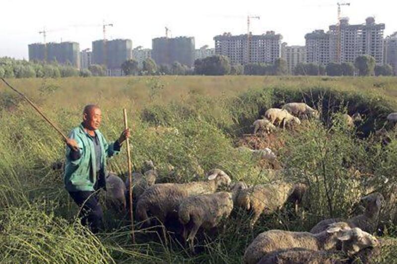 Since the late 1990s, 43.1 per cent of Chinese villages have experienced land grabs, prompting the country to approve a change to its land laws. Reuters