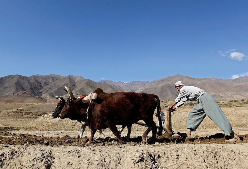 Panjshir is surrounded by mountains and is hard to reach. Reuters