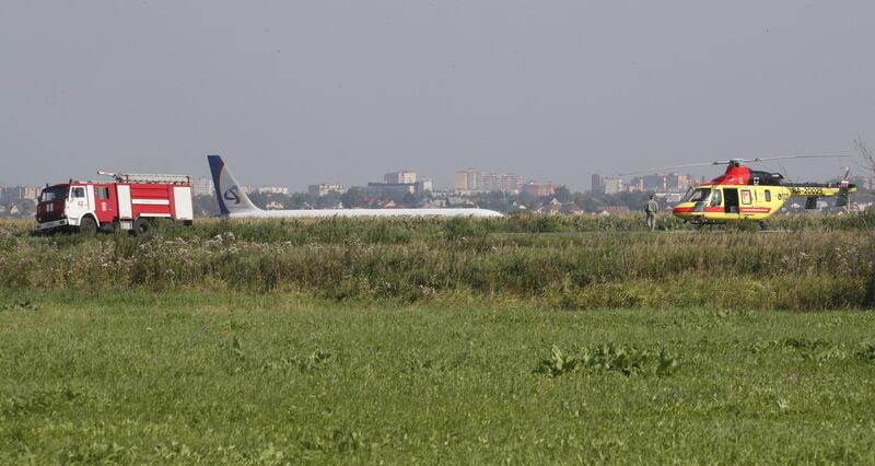 Ural Airlines A-321 passenger plane is seen on the site of its emergency landing in a field outside Zhukovsky airport in Ramensky district of Moscow region, Russia. A-321 with 226 passengers and seven crew members on board en-route from Moscow to Simferopol made emergency landing after a right engine failure following the plane's colliding with seagulls shortly after take-off. Ten people were hospitalized following the accident.  EPA