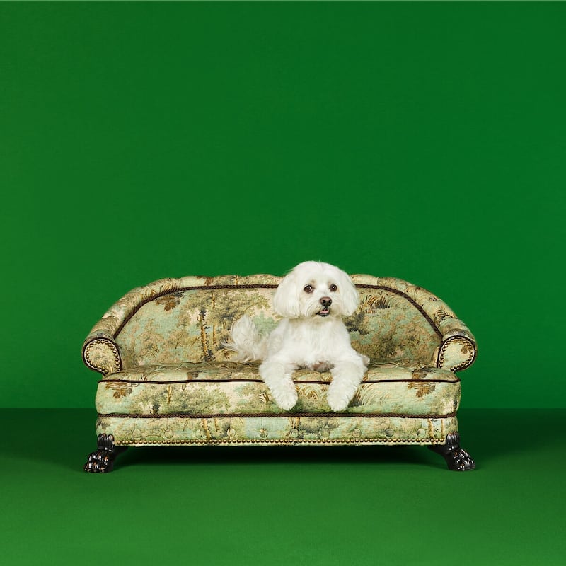It's not a dog's life in a Radura bed from Gucci. It costs Dh32,900 ($8,957). Photo: Gucci