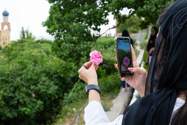 Maryam Al Saleh, aged 31 from Muscat takes a picture on her phone for social media during a tour of the Rose gardens an Al Ayn Village, Jebel Akhdar, Oman. Credit Tara Atkinson