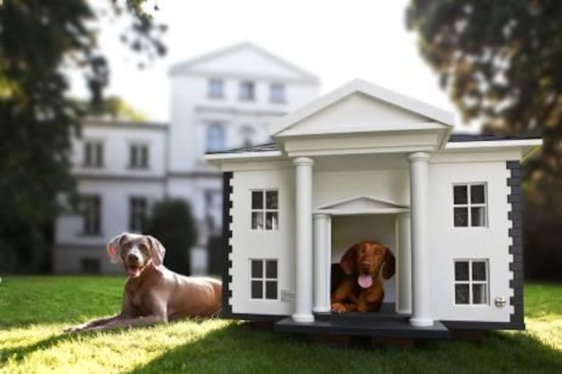 Many companies are offering luxurious dog houses.