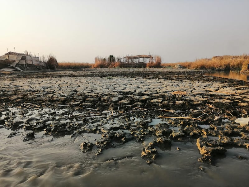 Drought ravages Iraq’s marshes in the south with water covering less than 8 per cent of the 2005 target of 5,560 square kilometres. Photos: Environmental Activist Ayad Al Asadi.

