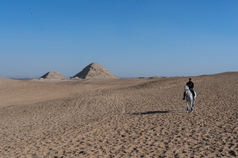 Free-riding enthusiast Omar rides his horse through the Sahara desert. In the background, the step pyramids of Abusir can be seen. Photo: Mahmoud Nasr