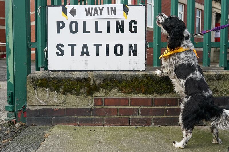 A dog waits for its owner outside a polling station in Sunderland. Getty Images