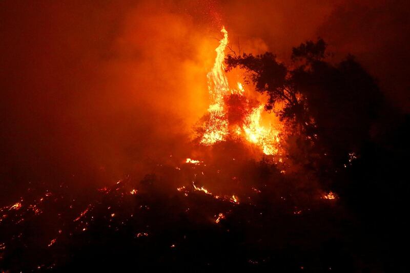A wildfire is seen inside of the metropolitan park named San Cristobal hill, in the middle of the city of Santiago, Chile. Reuters