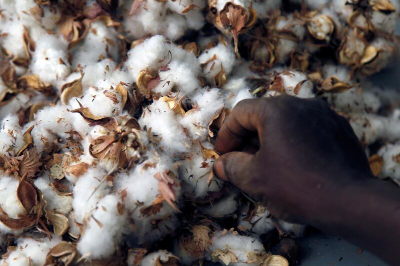 A worker selects cotton in Bobo-Dioulasso, Burkina Faso March 7, 2017. Picture taken March 7, 2017. To match Special Report MONSANTO-BURKINA/COTTON    REUTERS/Luc Gnago