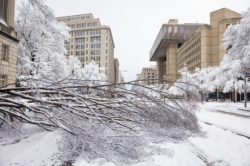 Downed trees cover 10th Street outside the Internal Revenue Service during a snowstorm in Washington. EPA
