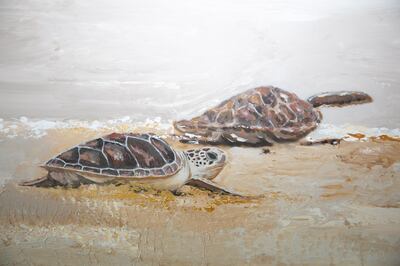 Ashwaq Abdulla's untitled painting of turtles on Saadiyat Island