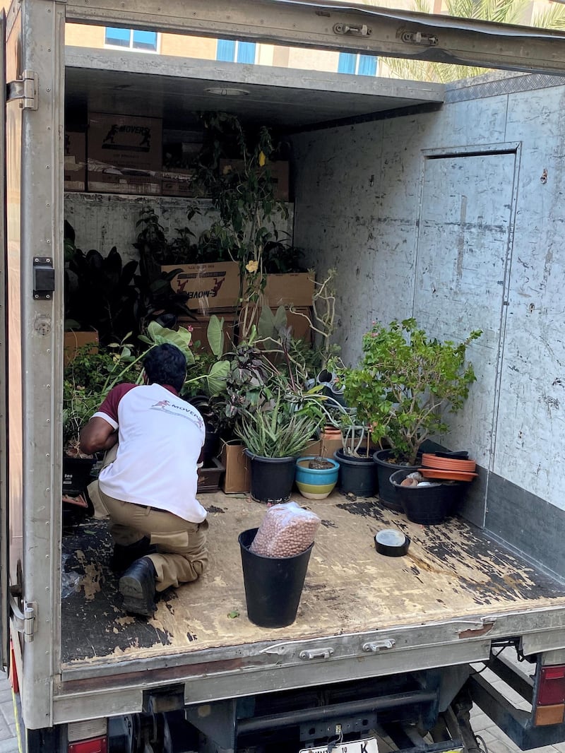 When moving from an apartment to a villa, one truck was required just to move his plants