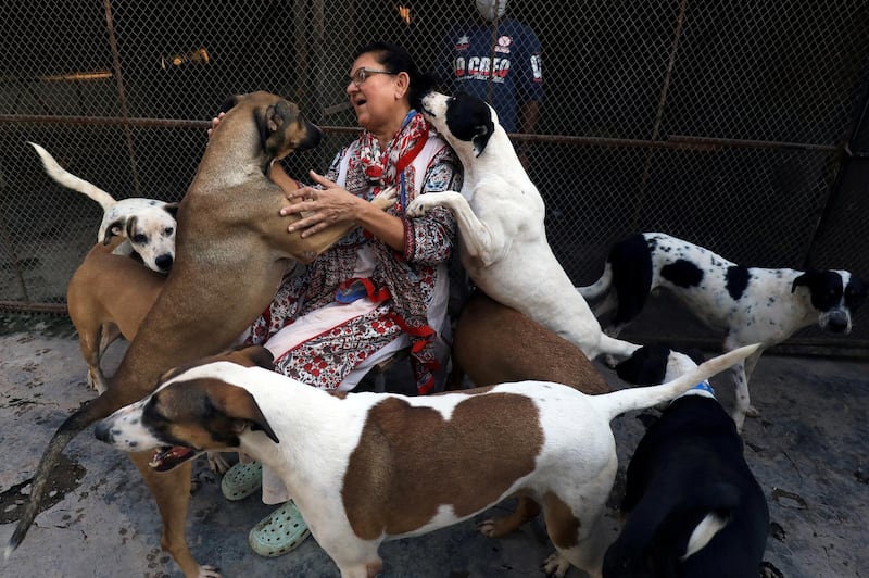 Zeba Masood, an animal rights activist, sits amidst dogs after they were rescued from streets at the Lucky Animal Protection Shelter in Peshawar, Pakistan. Reuters