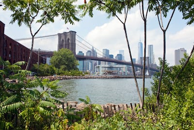 Brooklyn Bridge Park with a view to Manhattan. Photo: Julienne Schaer / NYC & Company