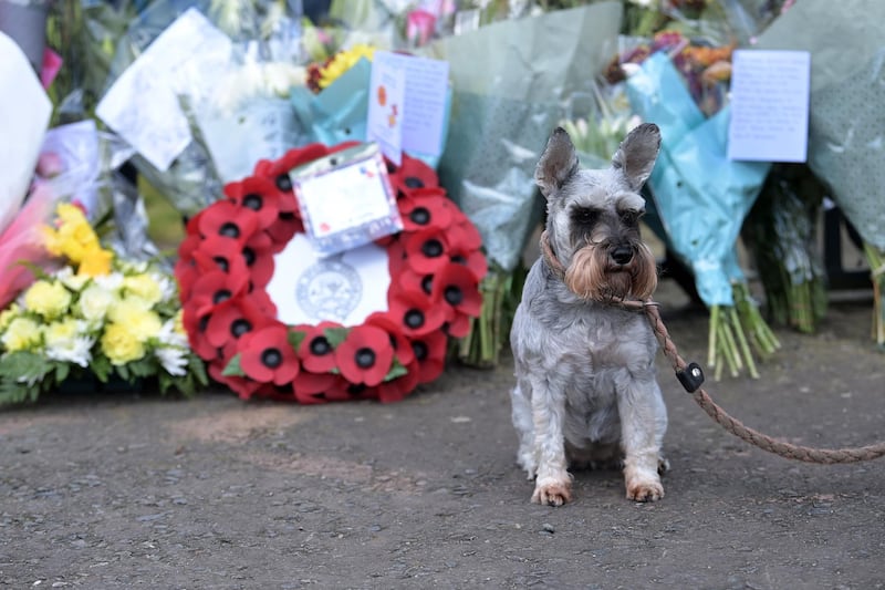 Miniature Schnauzer dog Lady Trixie of Linfield sits in front of tributes to Prince Philip at Hillsborough Castle, Northern Ireland, during the midday 41 gun salute. Getty Images